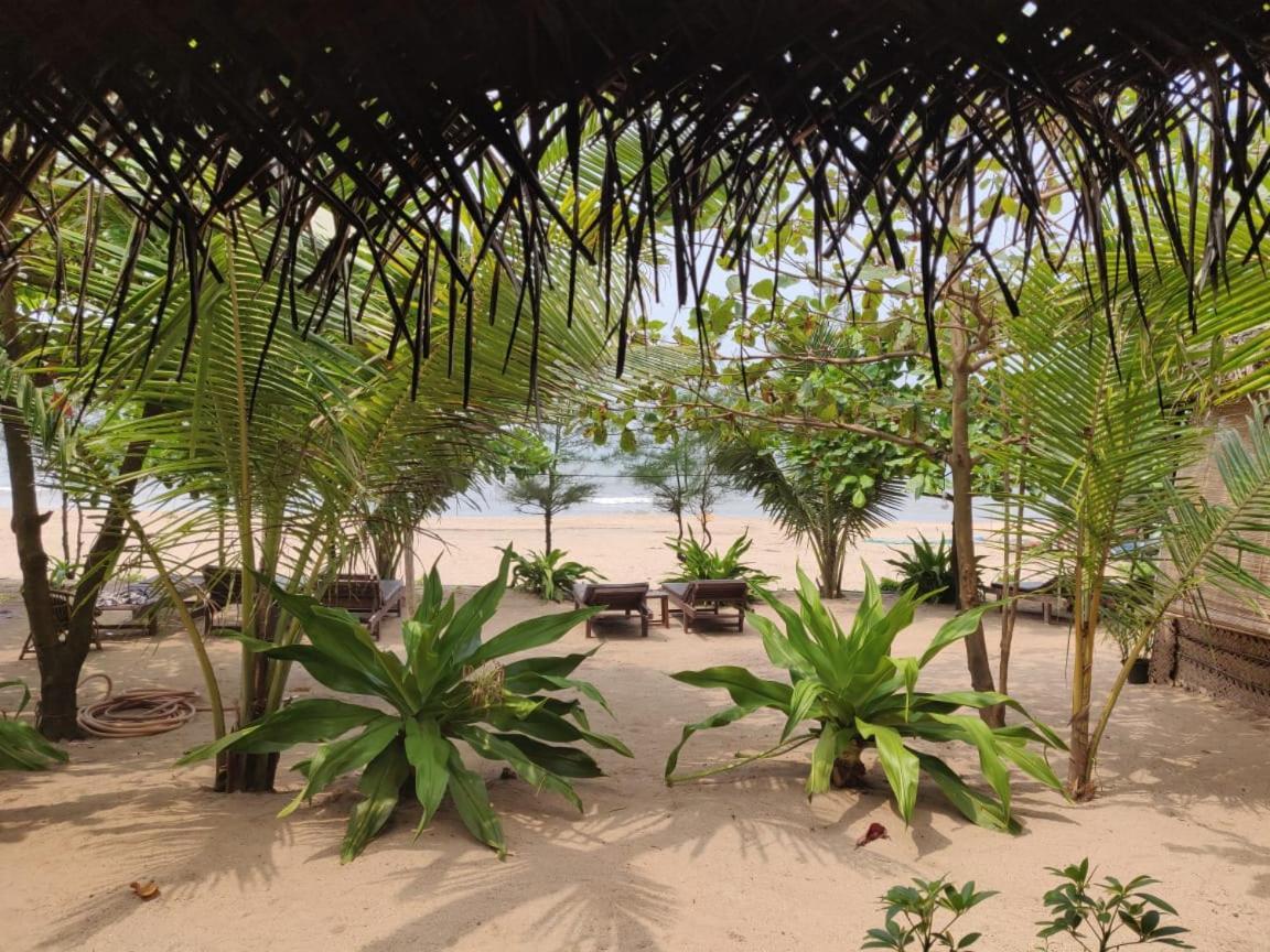 Mariposa Beach Grove Agonda Exteriér fotografie