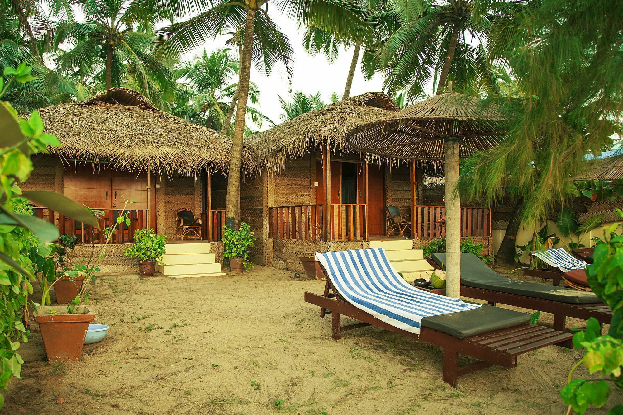 Mariposa Beach Grove Agonda Exteriér fotografie